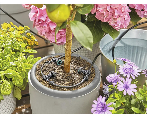 Blumenbewässerungssystem mit Topfpflanzen und Wasserbehälter