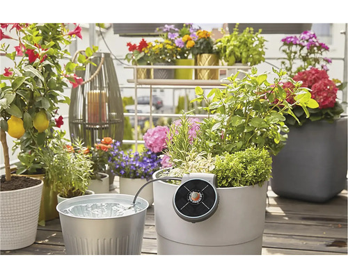 Szenenaufnahme eines Balkons mit verschiedenen Pflanzen und einem Bewässerungssystem