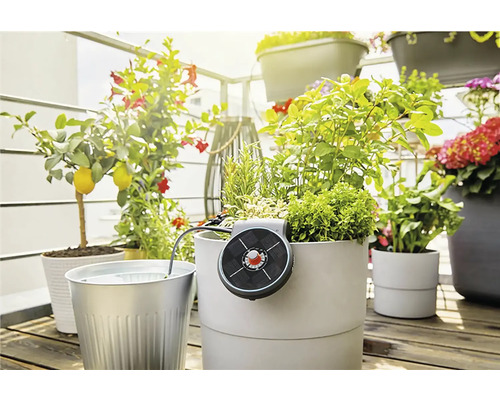 Balkonszene mit Pflanzen in Töpfen und solarbetriebener Bewässerung