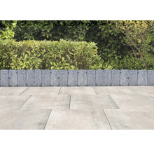 Aménagement de jardin avec bordures de pelouse et pavés