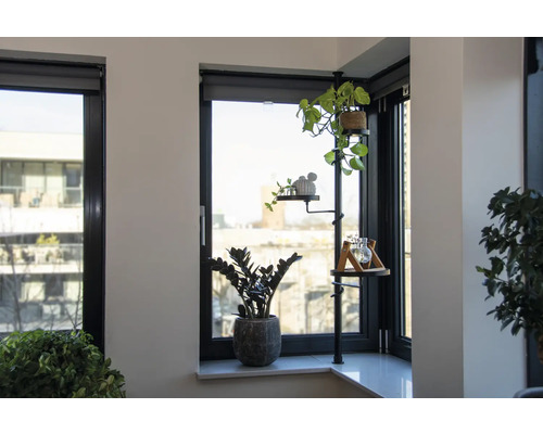 Zimmer mit Fenster, Pflanzen und Pflanzenständer
