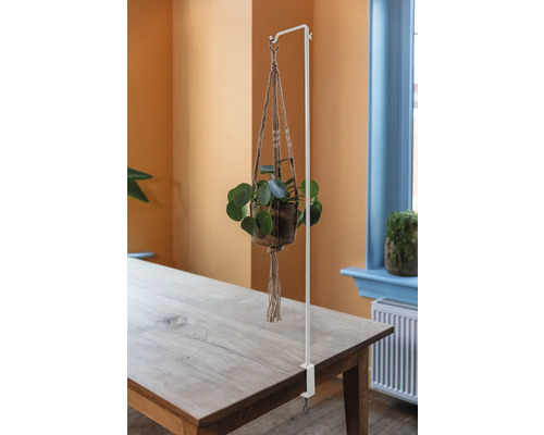 Support pour plante suspendue avec serre-joint de table en métal et plante en pot