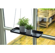 Étagère suspendue avec deux plantes en pot devant une fenêtre