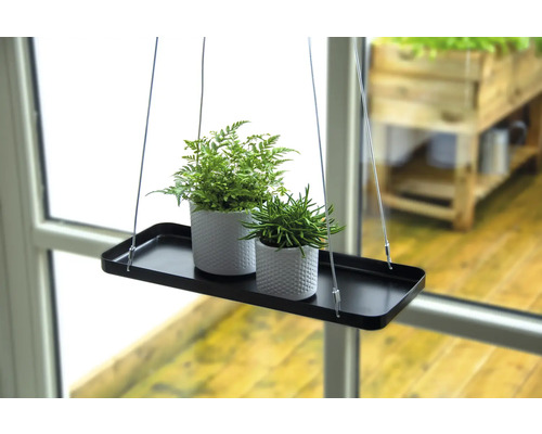 Étagère suspendue avec deux plantes en pot devant une fenêtre