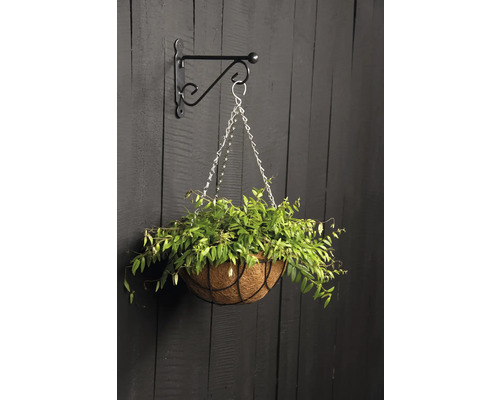 Hängeampel mit Pflanzen an einer Wandhalterung