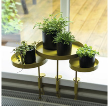 Étagère à plantes avec quatre plantes en pot sur un rebord de fenêtre