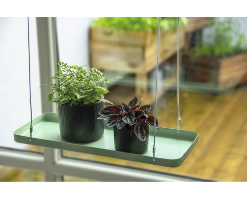 Étagère suspendue avec deux plantes d''intérieur en pot