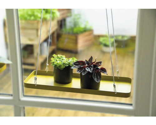 Hängevorrichtung mit zwei Zimmerpflanzen in Töpfen vor einem Fenster.
