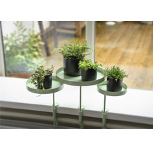 Tablette pour plantes de rebord de fenêtre avec quatre plantes en pot
