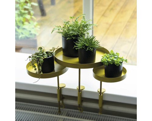 Table à plantes avec des plantes sur un rebord de fenêtre