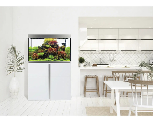 Aquarium avec meuble bas dans un espace de vie moderne