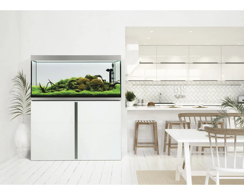 Aquarium avec meuble bas dans un espace de vie lumineux