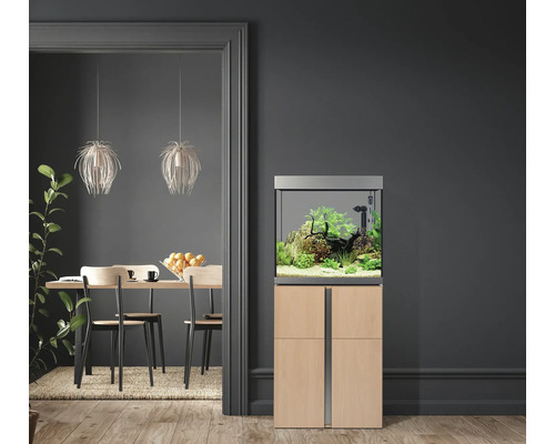 Aquarium équipé avec meuble bas dans un espace de vie