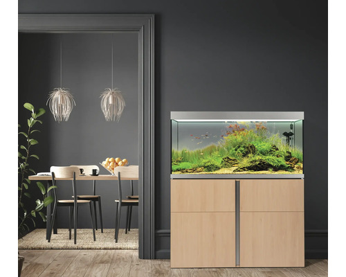 Aquarium aménagé avec meuble bas dans un espace de vie