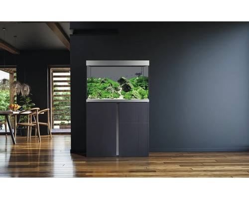 Aquarium avec meuble bas dans un salon lumineux