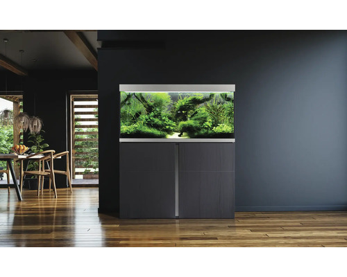 Aquarium aménagé avec meuble bas dans une pièce à vivre