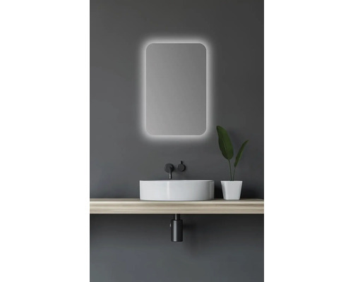 Salle de bain moderne avec miroir lumineux, vasque à poser et plante