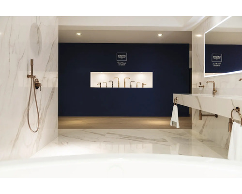 Salle de bains moderne avec douche, lavabo et robinetterie en différentes versions. Logo Grohe