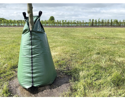 Sac d''arrosage pour l''irrigation des arbres