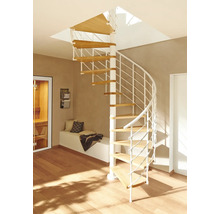 Pertura Spindeltreppe Koralia Buche Leimholz Ø 120 cm Weiß 13 Stufen 14 Steigungen