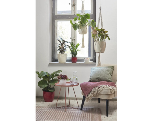 Helle, freundliche Inneneinrichtung mit Zimmerpflanzen, einem Beistelltisch und einem Sessel in der Nähe eines Fensters