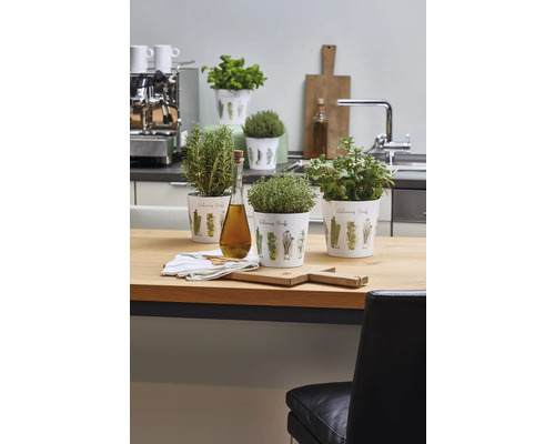 Küchenszene mit Kräutern in Töpfen und Holzzubehör auf einem Tisch