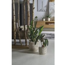 Cache-pot Soendgen Portland céramique Ø 36 cm h 31 cm aspect écorce