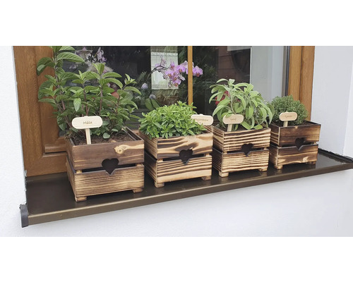 Kräutergarten mit Minze, Majoran, Salbei und Thymian in Holzkästen auf Fensterbank