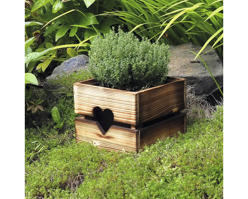 Holzkiste mit Herz und Kräutern im Garten