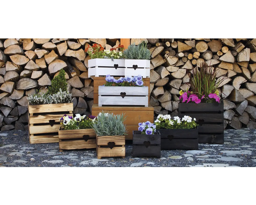 Dekorative Pflanzkästen aus Holz mit Herzmuster und verschiedenen Pflanzen vor einem Stapel Holz.