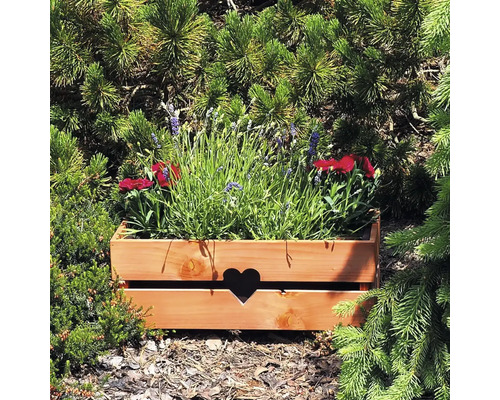 Holzkasten mit Herzmotiv und Blumen auf dem Boden
