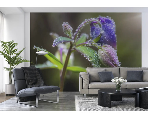Salon avec papier peint photo d''une plante fleurie avec des gouttes d''eau