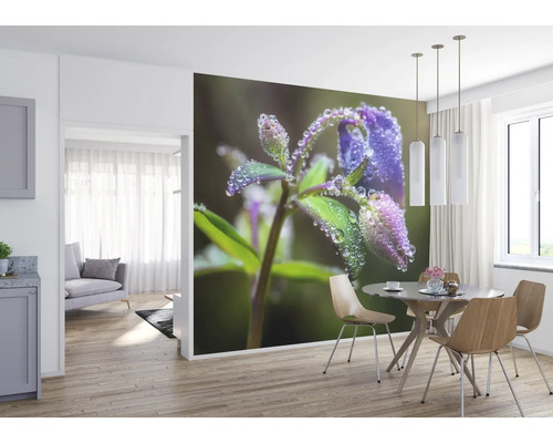 Image murale avec gros plan d''une fleur bleue avec des gouttes de rosée dans une salle à manger