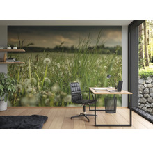 Fototapete Vlies Digitaldruck 363357 Magic Walls Wiese grün 7-tlg. 371 x 265 cm