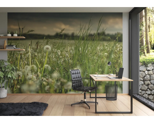 Bureau avec un papier peint photo à motif de pissenlits, bureau et chaise de bureau