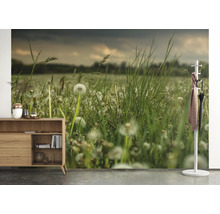 Fototapete Vlies Digitaldruck 363357 Magic Walls Wiese grün 7-tlg. 371 x 265 cm