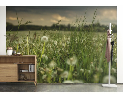 Aménagement de pièce avec un papier peint photo représentant une prairie avec des pissenlits, combiné à une commode et un portemanteau