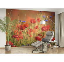 Wohnraum mit Mohnblumen Fototapete, Sessel und Stehlampe