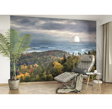 Salon avec papier peint photo d''une forêt d''automne sous un ciel nuageux