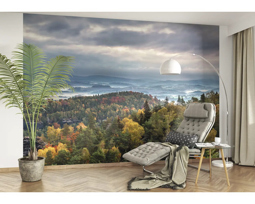 Wohnzimmer mit Fototapete eines Herbstwaldes unter bewölktem Himmel
