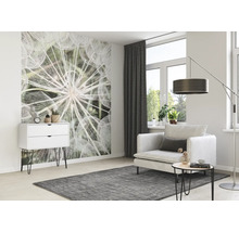 Fototapete Vlies Digitaldruck 364101 Magic Walls Pusteblume 4-tlg. 212 x 265 cm