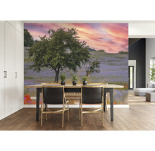 Fototapete Vlies Digitaldruck 363425 Magic Walls Sonne rot 7-tlg. 371 x 265 cm