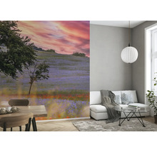Fototapete Vlies Digitaldruck 363425 Magic Walls Sonne rot 7-tlg. 371 x 265 cm