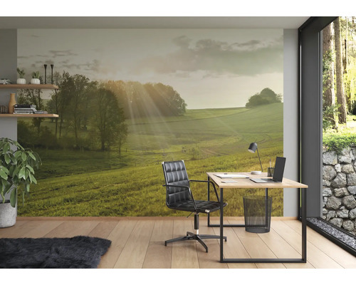 Bureau avec papier peint photo d''un paysage vert et de rayons de soleil