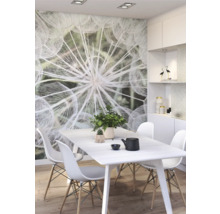 Fototapete Vlies Digitaldruck 364101 Magic Walls Pusteblume 4-tlg. 212 x 265 cm