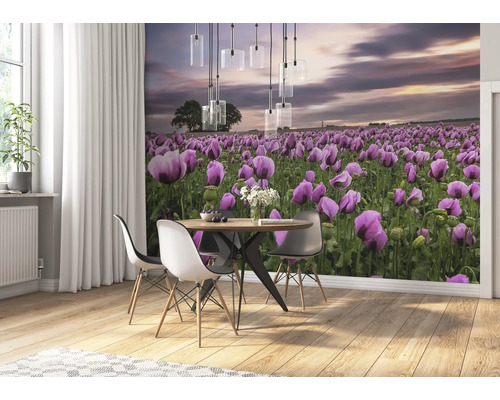 Wohnraum mit Mohnblumenfeld-Tapete, Esstisch und Stühlen