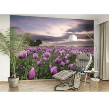 Fototapete Vlies Digitaldruck 363456 Magic Walls Wiese pink 7-tlg. 371 x 265 cm