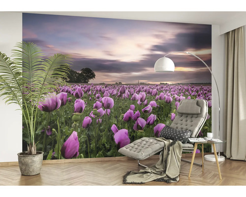 Wandbild mit Mohnfeld im Wohnraum