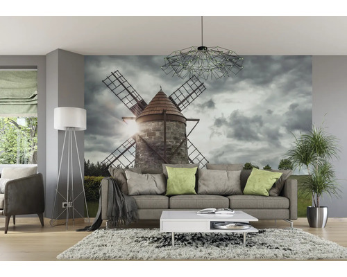 Wohnzimmer mit Fototapete einer Windmühle, Sofa und Zimmerpflanze