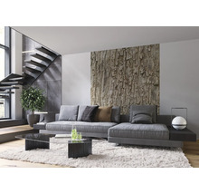 Salon moderne avec canapé gris, papier peint tronc d''arbre et escalier